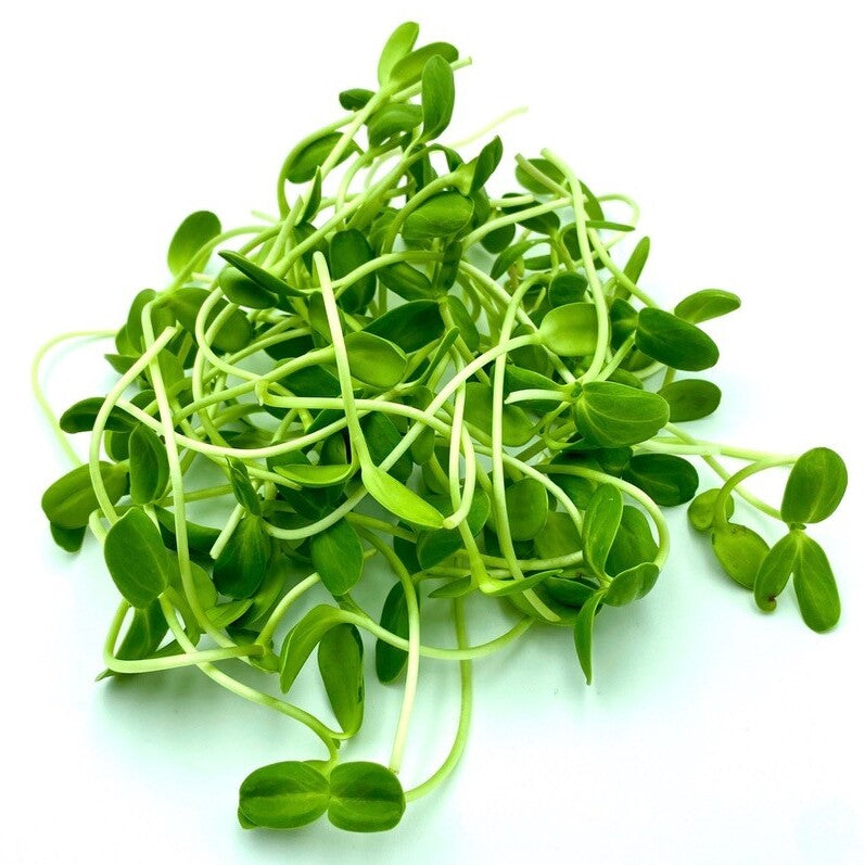 Microgreen Supplies