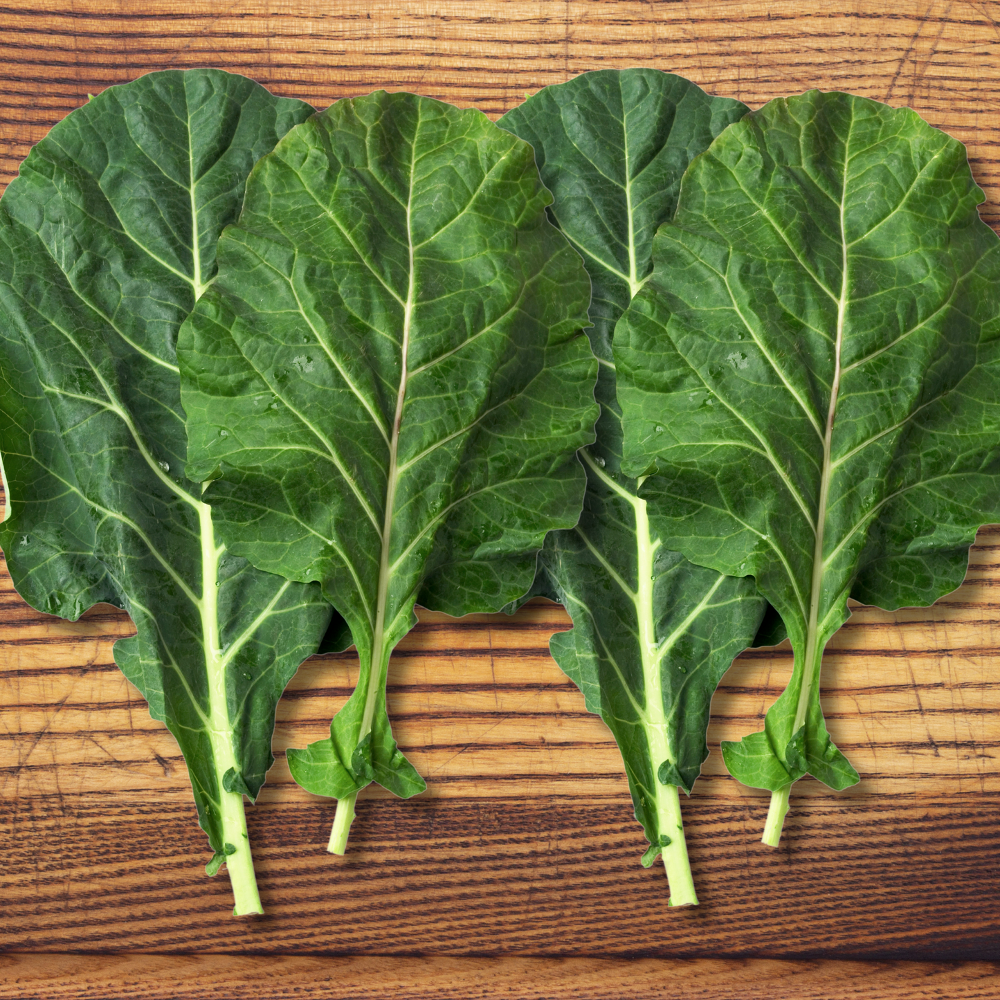Power Greens Seed Bundle