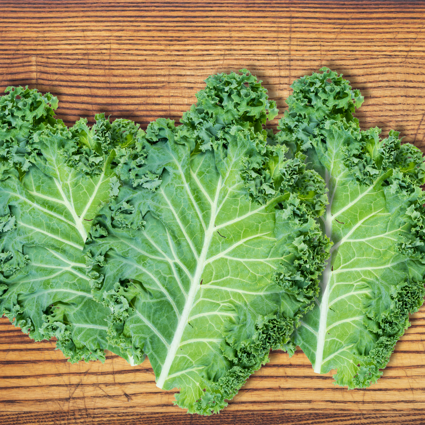 Power Greens Seed Bundle
