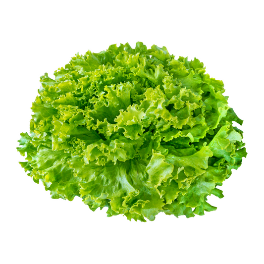 Essential Seed Bundle