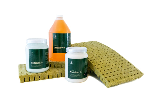 Image of items in bulk supplies box