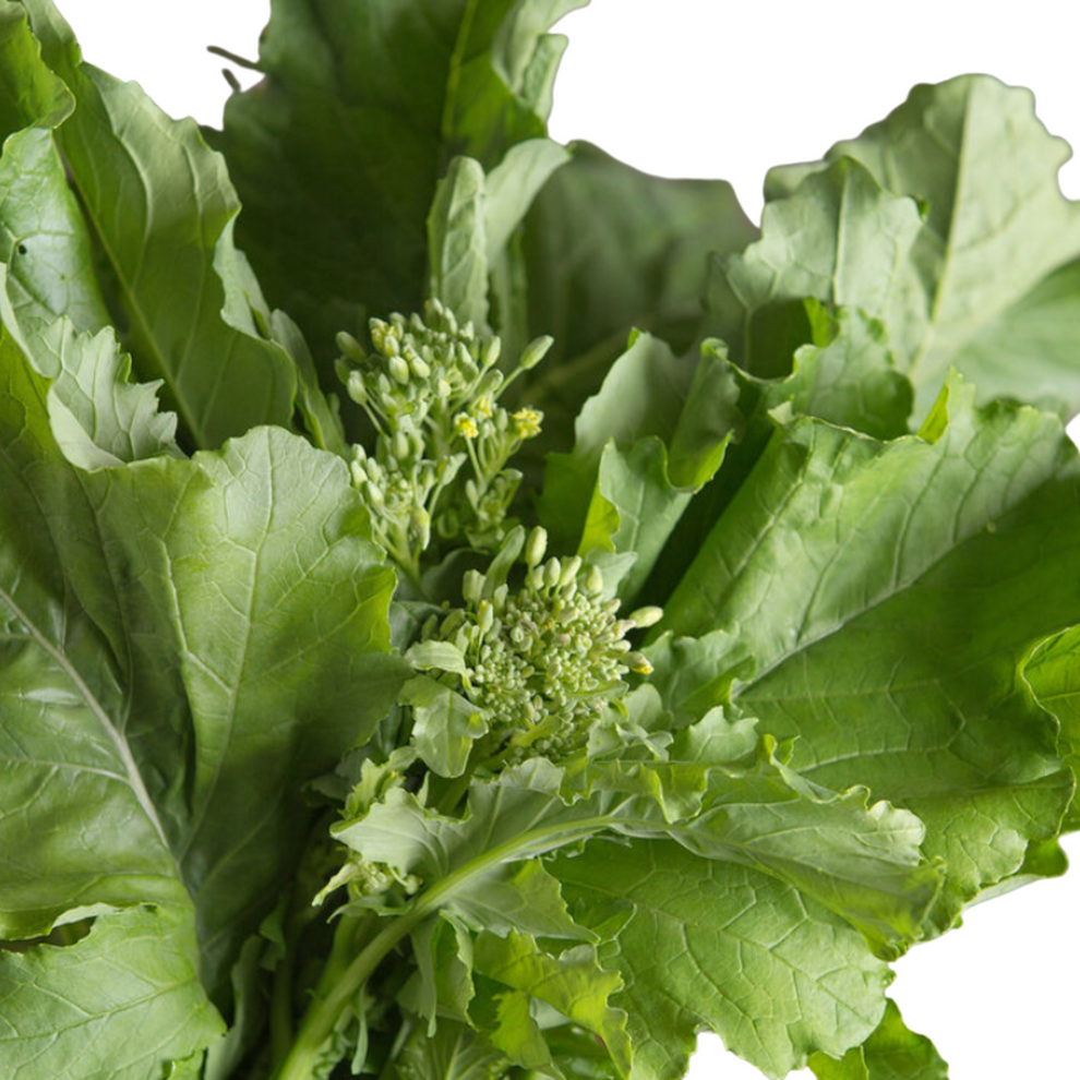 Global Brassicas Seed Bundle Fork Farms